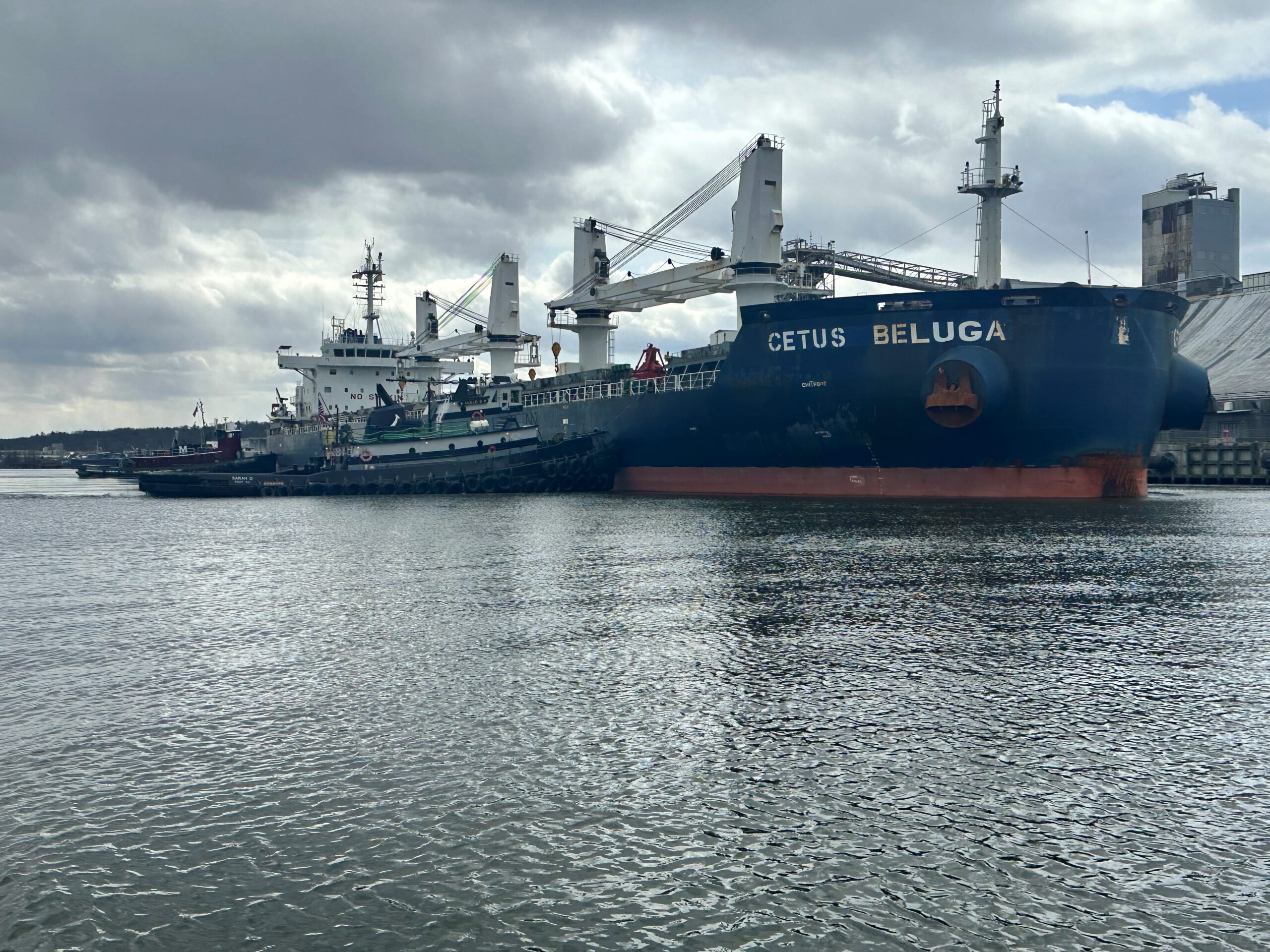 Sarah D assisting Cetus Beluga into Port of Albany